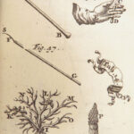 Les Délices de la Campagne – François Fortin – 1700 | Hunting, Fishing – 66 Engravings