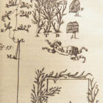 Les Délices de la Campagne – François Fortin – 1700 | Hunting, Fishing – 66 Engravings