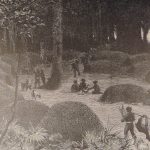 1890 In Darkest Africa by Henry Stanley – 1st edition | Emin Pasha Dr Livingstone