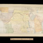 1890 In Darkest Africa by Henry Stanley – 1st edition | Emin Pasha Dr Livingstone