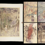 Irish Fairy Tales – James Stephens – 1920 | Rackham Art, First Edition
