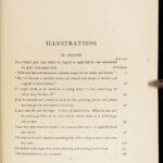 Irish Fairy Tales – James Stephens – 1920 | Rackham Art, First Edition