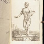 1681 Muscles – Browne | First edition | Molins Muskotomia, Illustrated Medicine