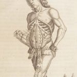 1681 Muscles – Browne | First edition | Molins Muskotomia, Illustrated Medicine