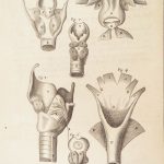 1681 Muscles – Browne | First edition | Molins Muskotomia, Illustrated Medicine