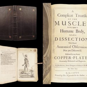 1681 Muscles – Browne | First edition | Molins Muskotomia, Illustrated Medicine