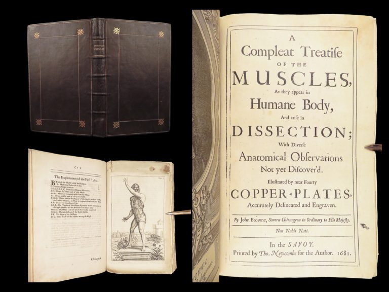 Image of 1681 Muscles – Browne | First edition | Molins Muskotomia, Illustrated Medicine