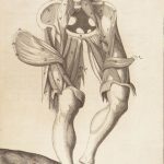 1681 Muscles – Browne | First edition | Molins Muskotomia, Illustrated Medicine