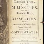 1681 Muscles – Browne | First edition | Molins Muskotomia, Illustrated Medicine