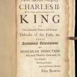 1681 Muscles – Browne | First edition | Molins Muskotomia, Illustrated Medicine
