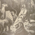 1877 Nelson & Phillips Family Bible | Old & New Testament Illustrated | Enormous