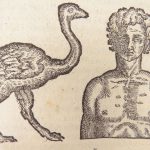 De humana Physiognomonia – Della Porta – 1650 | Illustrated, Fine Binding
