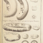 Histoire Generale Des Voyages – Abbé Prévost – 1752 | First Edition,  Maps of Japan & India