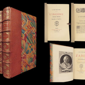 Romans de Voltaire – Voltaire – 1878 | Illustrated Edition, 2 Vols, Beautiful Binding