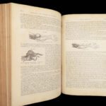 A System of Surgery – Samuel D. Gross – 1872 | 1400+ Anatomy Engravings