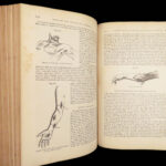A System of Surgery – Samuel D. Gross – 1872 | 1400+ Anatomy Engravings