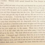 Adventures of Huckleberry Finn – Mark Twain – 1885 | First Printing in Original Green Cloth