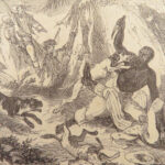 The White Slave – Richard Hildreth – 1853 | Archy Moore | Illustrated London ed