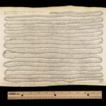 Vers Solitaires – Nicolas Andry – 1718 | First edition, Tapeworms & Parasites
