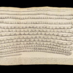 Vers Solitaires – Nicolas Andry – 1718 | First edition, Tapeworms & Parasites