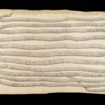Vers Solitaires – Nicolas Andry – 1718 | First edition, Tapeworms & Parasites
