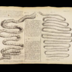 Vers Solitaires – Nicolas Andry – 1718 | First edition, Tapeworms & Parasites