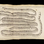 Vers Solitaires – Nicolas Andry – 1718 | First edition, Tapeworms & Parasites