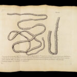 Vers Solitaires – Nicolas Andry – 1718 | First edition, Tapeworms & Parasites