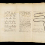 Vers Solitaires – Nicolas Andry – 1718 | First edition, Tapeworms & Parasites