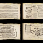Vers Solitaires – Nicolas Andry – 1718 | First edition, Tapeworms & Parasites