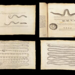 Vers Solitaires – Nicolas Andry – 1718 | First edition, Tapeworms & Parasites