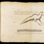 Vers Solitaires – Nicolas Andry – 1718 | First edition, Tapeworms & Parasites