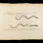 Vers Solitaires – Nicolas Andry – 1718 | First edition, Tapeworms & Parasites