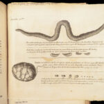 Vers Solitaires – Nicolas Andry – 1718 | First edition, Tapeworms & Parasites