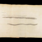 Vers Solitaires – Nicolas Andry – 1718 | First edition, Tapeworms & Parasites