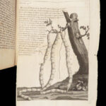 Vers Solitaires – Nicolas Andry – 1718 | First edition, Tapeworms & Parasites