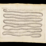 Vers Solitaires – Nicolas Andry – 1718 | First edition, Tapeworms & Parasites