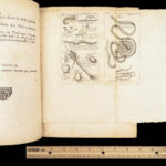 Vers Solitaires – Nicolas Andry – 1718 | First edition, Tapeworms & Parasites