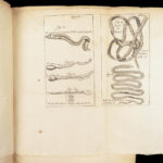 Vers Solitaires – Nicolas Andry – 1718 | First edition, Tapeworms & Parasites