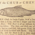 The Art of Angling – Richard Brookes – 1740 | First Edition, 133 Woodcuts