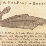 The Art of Angling – Richard Brookes – 1740 | First Edition, 133 Woodcuts