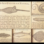 The Art of Angling – Richard Brookes – 1740 | First Edition, 133 Woodcuts