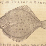 The Art of Angling – Richard Brookes – 1740 | First Edition, 133 Woodcuts