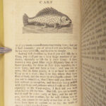 The Complete Angler – Walton & Cotton – 1784 | Illustrated Fish and Fishermen