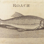 The Complete Angler – Walton & Cotton – 1784 | Illustrated Fish and Fishermen