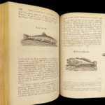 The Complete Angler – Walton & Cotton – 1784 | Illustrated Fish and Fishermen