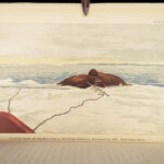Farthest North – Fridtjof Nansen – 1897 | 1st Edition, Arctic Maps, Fram Expedition