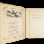 Fables of La Fontaine – Gustave Doré – c.1880 | Thornbury Translation