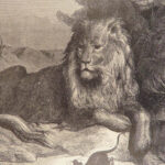 Fables of La Fontaine – Gustave Doré – c.1880 | Thornbury Translation