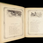 Fables of La Fontaine – Gustave Doré – c.1880 | Thornbury Translation